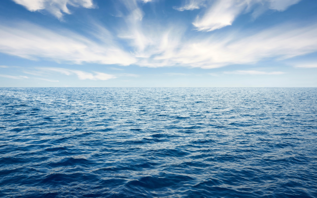 An Interview With Blue Ocean 2017-2018 Competition Winners, PromElle