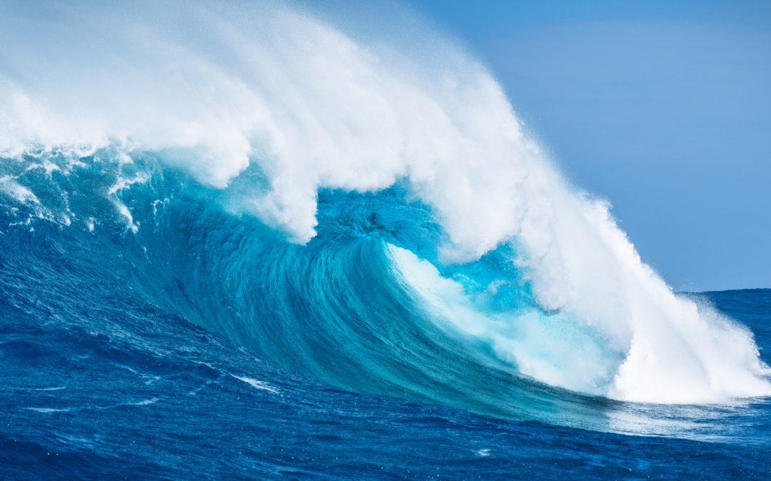 Blue Ocean Competition Team work