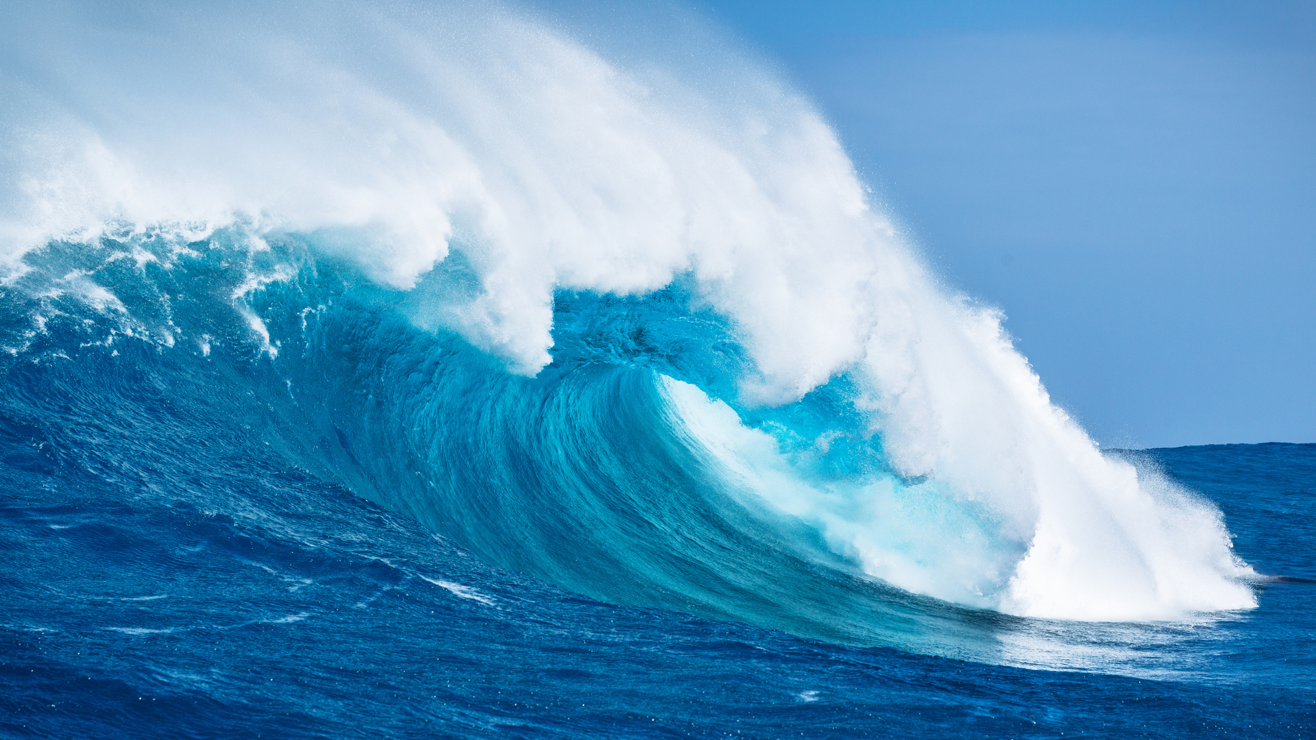 Blue Ocean Competition Team work